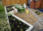 small back garden small back garden